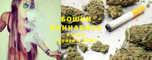 дурь Нея