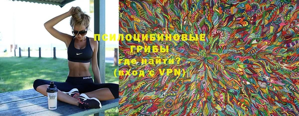 дурь Нея