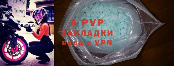 прущие грибы Струнино