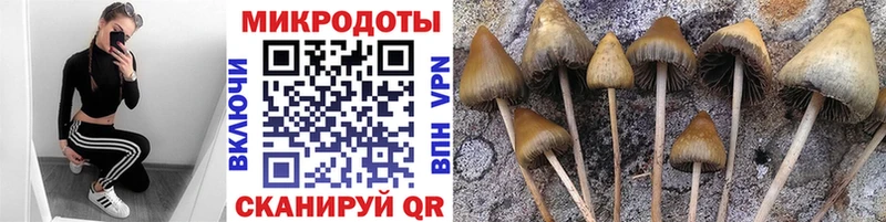 kraken ONION  Задонск  Галлюциногенные грибы мухоморы 